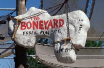A dinosaur fossil sign of The Boneyard play area inside Disney’s Animal Kingdom located in Orlando.
